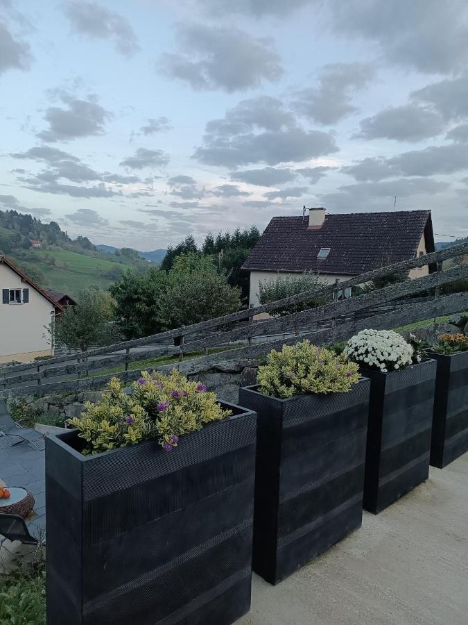 Gite Luxury A Soultzeren Kültér fotó
